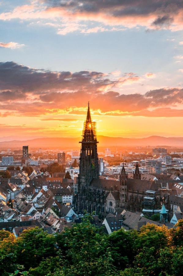 Design Apartment Barcelonanights Freiburg im Breisgau Dış mekan fotoğraf